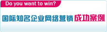 國際國內(nèi)知名企業(yè)網(wǎng)絡(luò)營銷案例